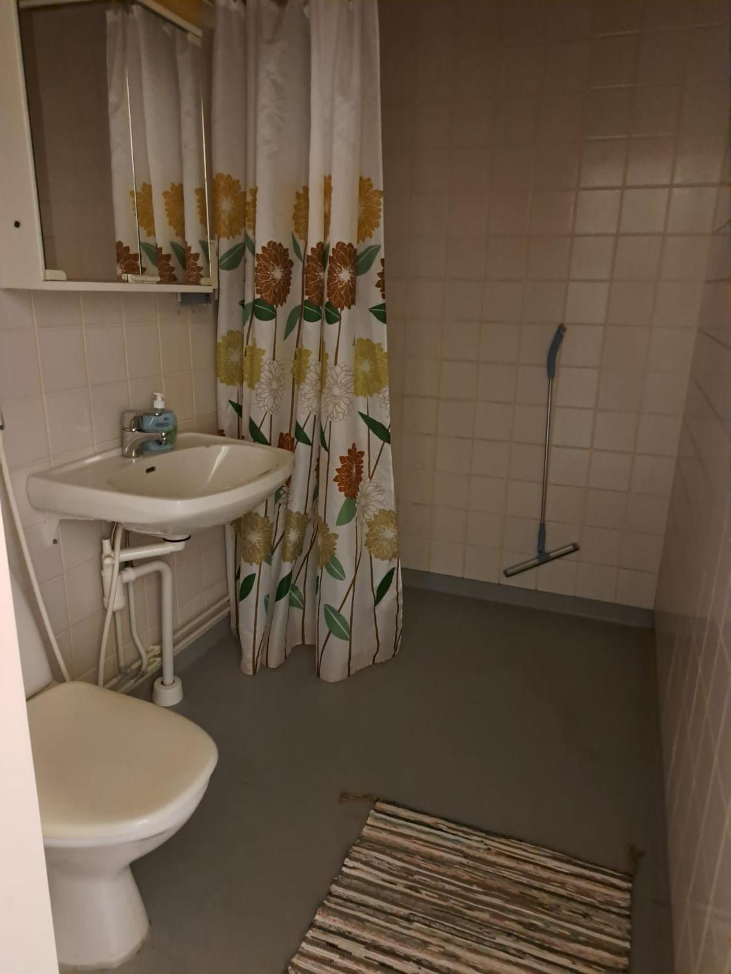 Ainola Vandrehjem Hämeenlinna Eksteriør billede
